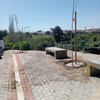 Projeto de Arborização